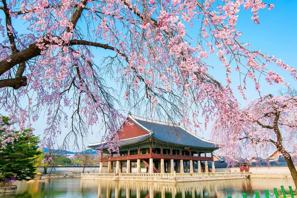 SEOUL_NAMI_LOTTE